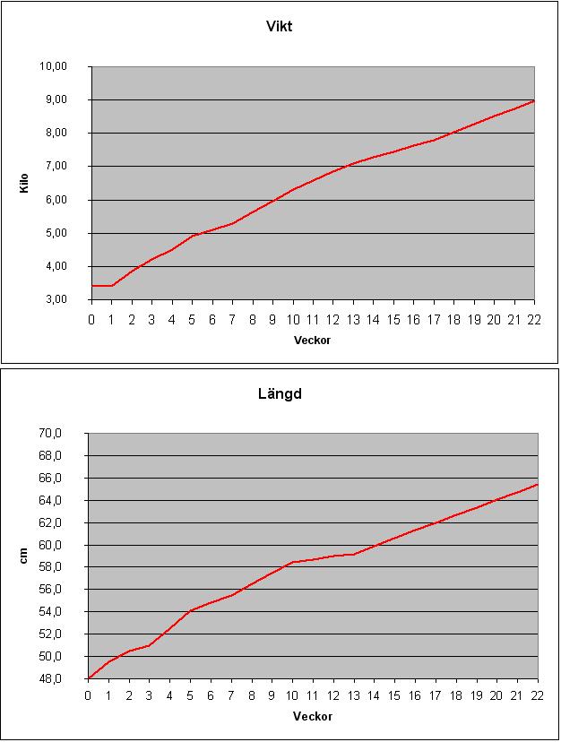 Agnes data 22 v.JPG